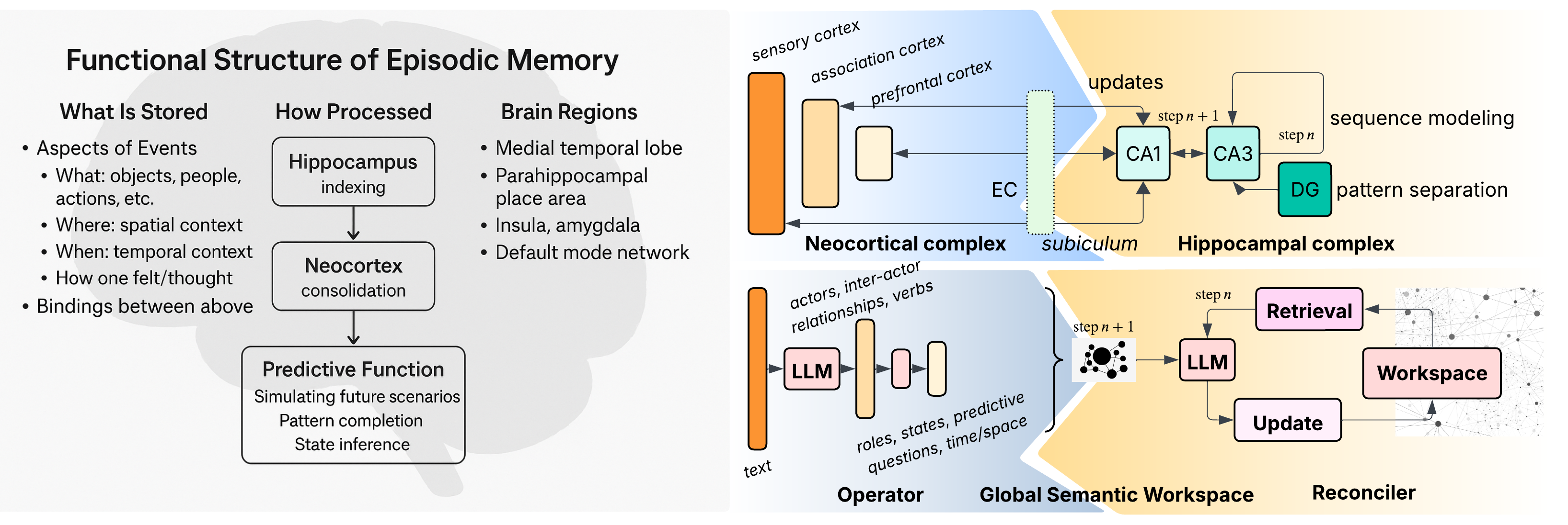 Brain-inspired GSW architecture